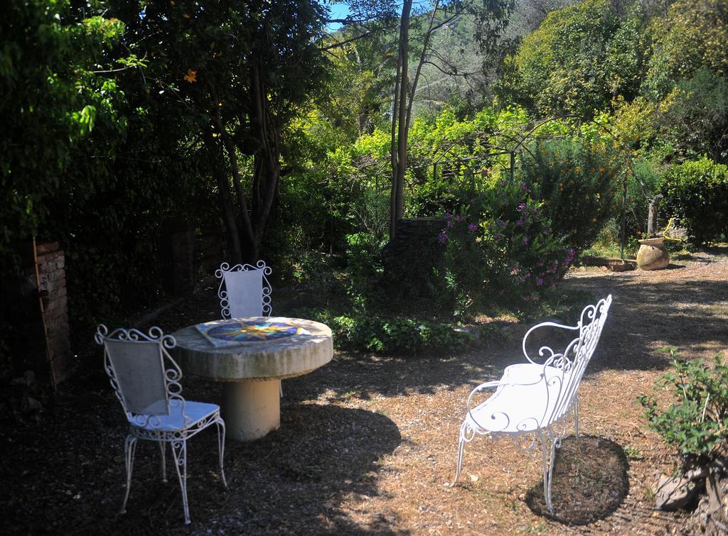 B&B Costa Lupara - Villa Murchio Alassio Exterior photo